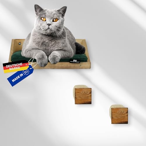 Rohrschneider Katzen Wandelemente | 3-TLG. Kletterwand Katzen mit waschbarem Katzenkissen und Katzentreppe 8mm Sisalseil | Traglast bis zu 30 kg | versch. Farben | geflammt (Cordkissen grün) von Rohrschneider