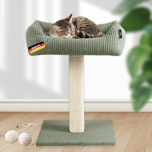 Rohrschneider Katzenbaum Wolly | Made in Germany | Kleiner Kratzbaum mit kuscheligem Katzenbett aus Cordstoff | breiter Kratzstamm aus Vollholz | versch. Farben (Cordstoff breit Salbei) von Rohrschneider