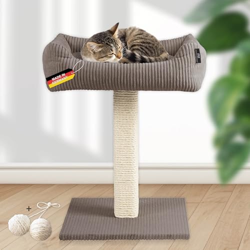 Rohrschneider Katzenbaum Wolly | Made in Germany | Kleiner Kratzbaum mit kuscheligem Katzenbett aus Cordstoff | breiter Kratzstamm aus Vollholz | versch. Farben (Cordstoff breit Taupe) von Rohrschneider