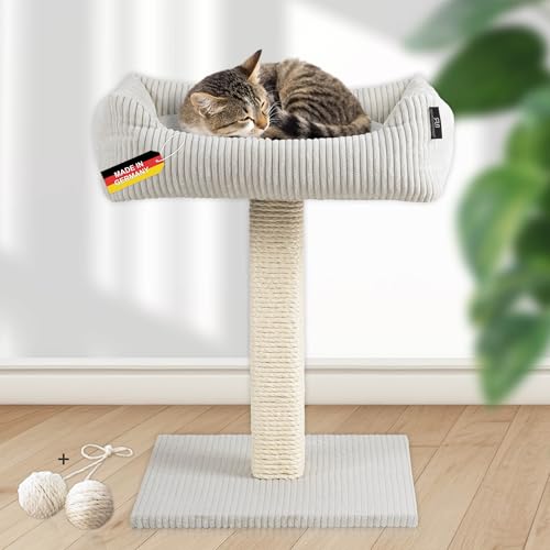 Rohrschneider Katzenbaum Wolly | Made in Germany | Kleiner Kratzbaum mit kuscheligem Katzenbett aus Cordstoff | breiter Kratzstamm aus Vollholz | versch. Farben (Cordstoff breit beige) von Rohrschneider