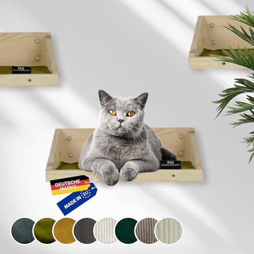 Rohrschneider Kletterwand Katze (alle Katzengrößen) | Made in EU | Katzentreppe kombinierbar | aus Echtholz Kiefernholz | belastbar bis 30 kg | Natur (waschbare Stoffeinlage Samt Fresh Oliv) von Rohrschneider