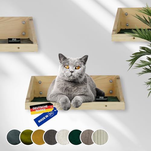 Rohrschneider Kletterwand Katzen (alle Katzengrößen) | Made in EU | Katzentreppe kombinierbar | aus Echtholz Kiefernholz | belastbar bis 30 kg | Natur (waschbare Stoffeinlage Cord grün) von Rohrschneider