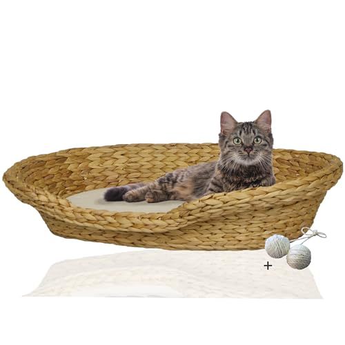 Rohrschneider Komfortables Katzenkörbchen mit Katzenkissen| Katzennest Korb Wasserhyazinthe | Katzenkörbchen geflochten zum Schlafen | Umweltfreundliches Katzenbett mit Kissen | 2 Größen (2) von Rohrschneider