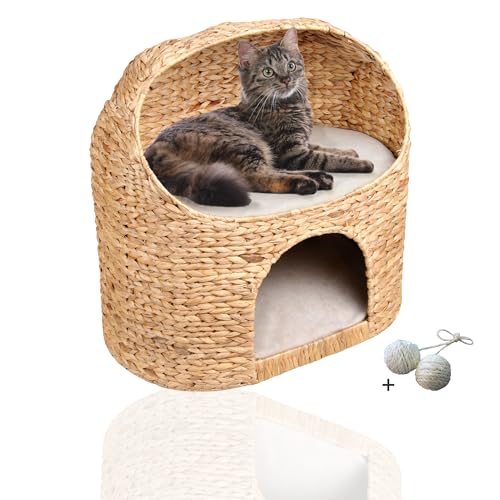 Rohrschneider Premium Katzenhöhle aus Wasserhyazinthe | Kuschelhöhle für Katzen mit waschbaren Kissen | Katzenhaus, Katzenkorb zum Schlafen | Katzensofa modern | Katzenbett hoch | Möbel für Katzen von Rohrschneider