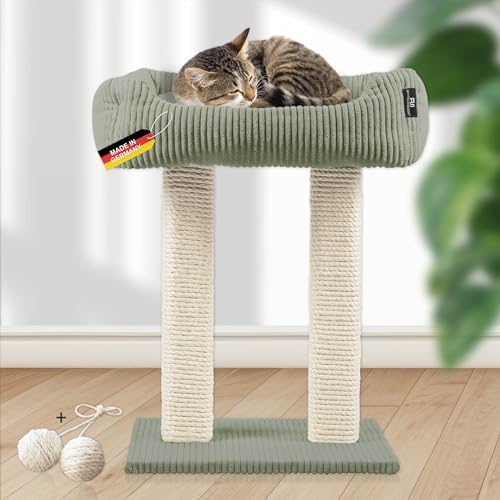 Rohrschneider moderner Kratzbaum Wolly | Made in Germany | Kleiner Katzenbaum mit 2 Breiten Kratzsäulen aus Vollholz | Katzenbett mit Kissen aus Cord | versch. Farben (Cordstoff breit Salbei) von Rohrschneider