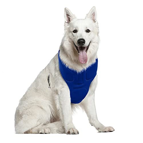 2 Kühl-Shirts für Hunde | Atmungsaktive Kühljacke für Katzen | Essentials für Hunde, Katzen, verstellbare Kleidung für große, mittelgroße und kleine Hunde von Rolempon