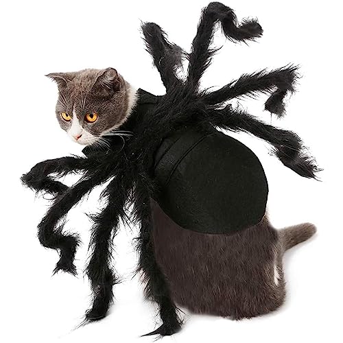 Rolempon Spinnenkostüm für Katzen | Cosplay Outfit Requisiten Halloween Dress Up Kleidung - Gruseliges Halloween-Dressing für Heimtierbedarf, festliches Kostüm für Katzen, Hasen, kleine von Rolempon