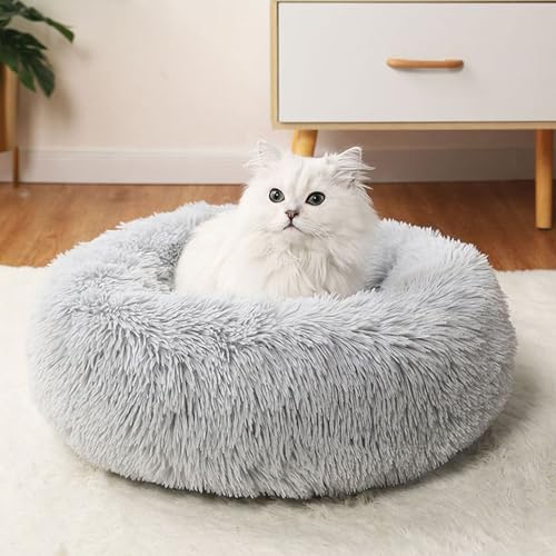 RongQiLBB Hundebetten Katzenbett Haustierbett Rund Katzenkorb Donut Plüsch Hundekissen Weiches Flauschiges rutschfest Waschbar Hundesofa Haustierbett (XS-38cm) von RongQiLBB