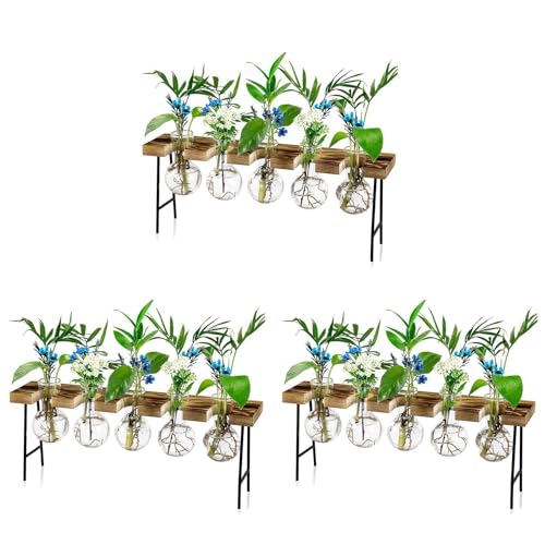 Ronlok 3X Vermehrungsstationen Desktop-Luftpflanzen-Terrarium, Glas-Pflanzgefäß, Glasvase mit HolzstäNder - Pflanzenterrarium von Ronlok