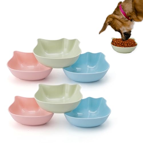 6-teiliges Katzennapf-Set – rutschfest, erhöht, Katzenfutter-Schüssel-Set aus Kunststoff, ideal für Nassfutter und Wasser, perfekt für Indoor-Katzen, Kätzchen und Welpen von Roontin