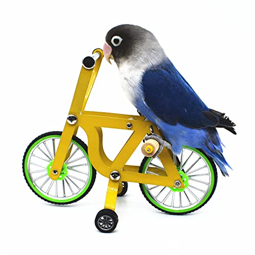 RoseFlower Vogel-Intelligenz-Trainingsspielzeug, Papageien-Fahrrad-Spielzeug, Papageienspielzeug, Geeignet für Eine Vielzahl von Vögeln von RoseFlower