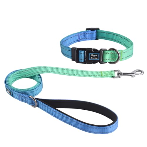 Roses&Poetry Bluegreen Hundehalsband und Leine, Set für kleine Hunde, reflektierende Leinen mit Halsbändern, verstellbar, langlebig, passende Halsband für kleine Hunde und Mädchen (Blaugrün-L) von Roses&Poetry