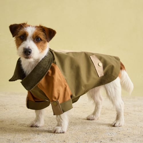 Rosewood Joules Kennington Hundemantel für Hunde, Größe M, waschbar, leicht, Regen-/wasserabweisend, Hundemantel für mittelgroße Hunde von Rosewood Joules