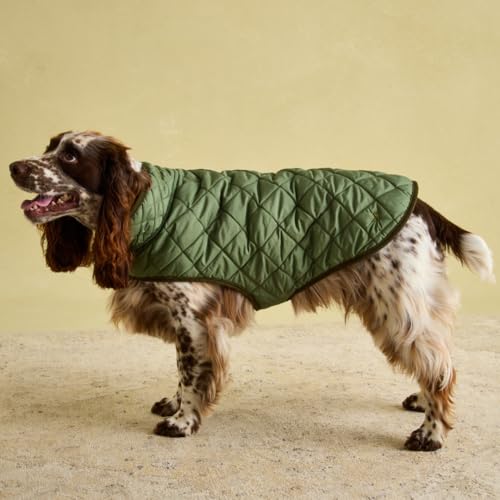 Rosewood Joules Khaki Steppmantel für Hunde, groß, waschbar, leicht, warm, für den Winter, für große Hunde von Rosewood Joules