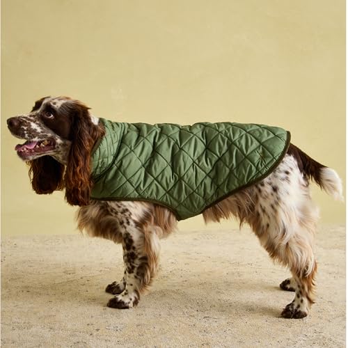 Rosewood x Joules Khaki Steppmantel für Hunde, groß, waschbar, leicht, warme Winterhundejacke für große Hunde von Rosewood