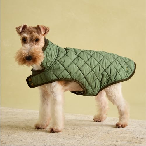 Rosewood Joules Khaki Steppmantel für Hunde, mittelgroß, waschbar, leicht, warm, für mittelgroße Hunde von Rosewood