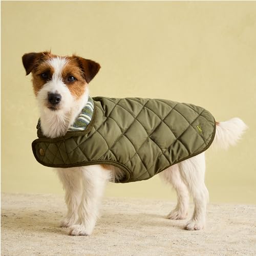 Rosewood Joules Khaki Steppmantel für Hunde Klein Waschbar Leicht Warm Winter Hundemantel Jacke für Kleine Hunde von Rosewood