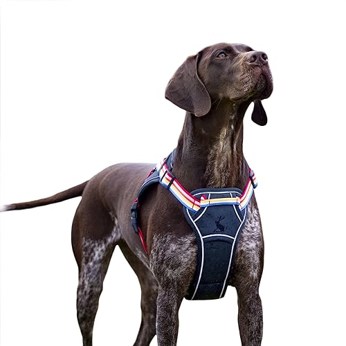 Rosewood x Joules Hundegeschirr, reflektierend, Größe M, Regenbogenfarben von Rosewood Joules