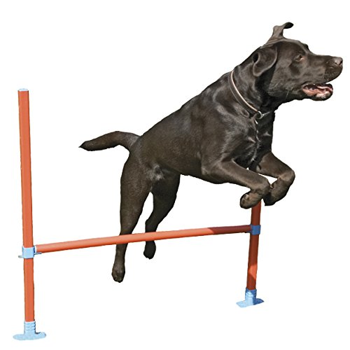 Rosewood 02491 Agility-Hürde für Hunde von Rosewood