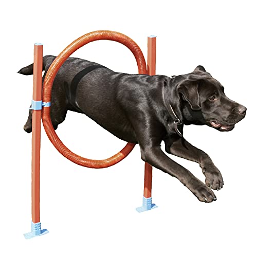 Rosewood 02492 Agility-Sprungreifen für Hunde von Rosewood