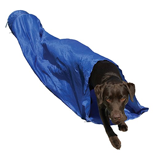 Rosewood 02494 Agility-Tunnel für Hunde von Rosewood