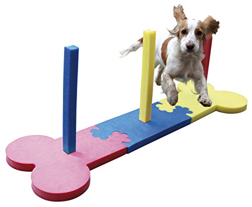 Rosewood 02495 Agility-Slalomstangen für kleine Hunde von Rosewood