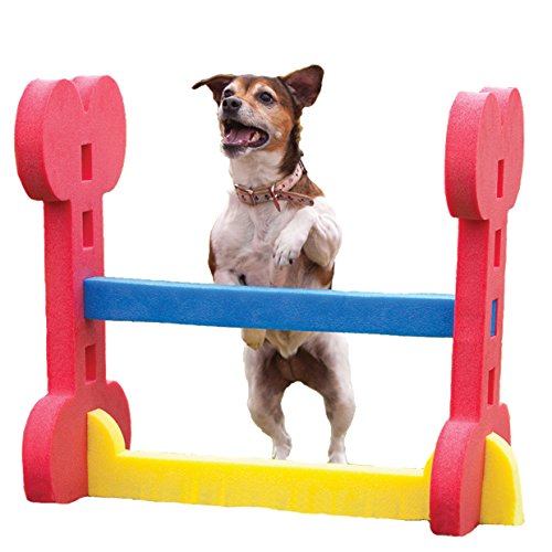 Rosewood 02496 Agility-Hürde für kleine Hunde von Rosewood