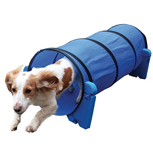 Rosewood 02498 Agility-Tunnel für kleine Hunde von Rosewood