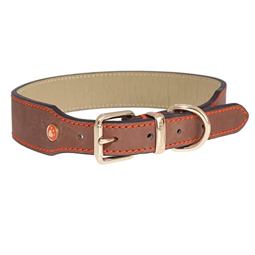 Rosewood 04027 Rosewood Leder-Hundehalsband für einen Halsumfang von 45,7-55,9 cm, braun von Rosewood