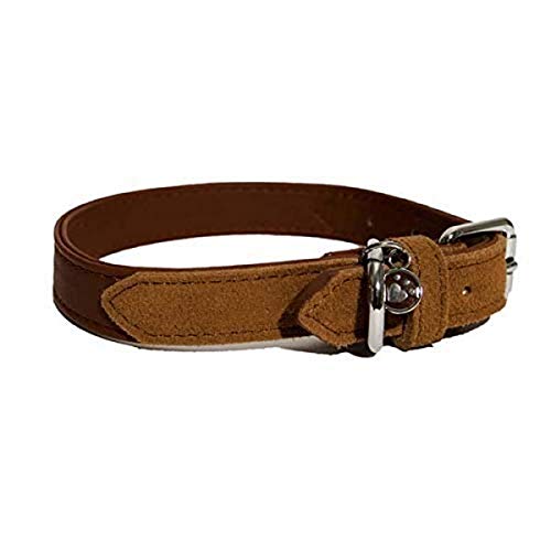 Rosewood 04108 Luxus-Hundehalsband aus weichgriffigem Leder für einen Halsumfang von 21-31 cm, rot von Rosewood