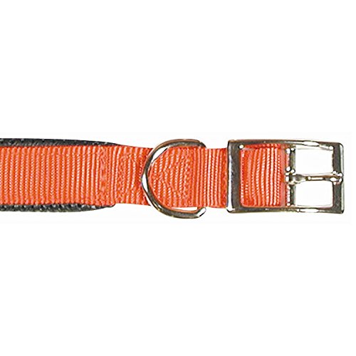 Rosewood 38481 klassisches Soft Protection Hundehalsband, Halsumfang: 36 cm, Breite: 16 mm, rot von Rosewood