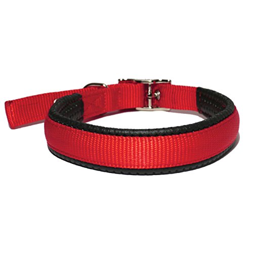 Rosewood 38491 klassisches Soft Protection Hundehalsband, Halsumfang: 41 cm, Breite: 16 mm, rot von Rosewood