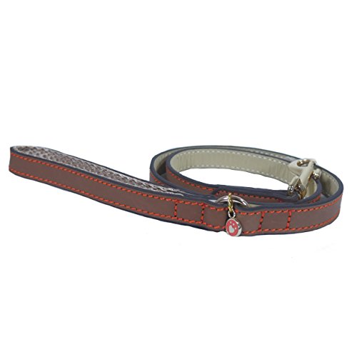 Rosewood 46065 Leckerli-Rad für Große Hunde, Hält Ewig von Rosewood