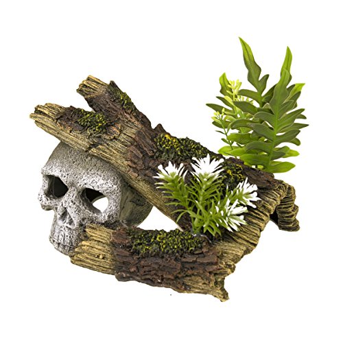 Rosewood 911019 Aquaristik-Ornament Schädel aus Harz mit Pflanzen, Small von Rosewood