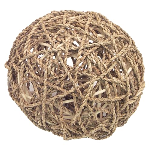 Rosewood Boredom Breaker Spielzeug für kleine Tiere, Seegras, Spaßball, groß von Rosewood