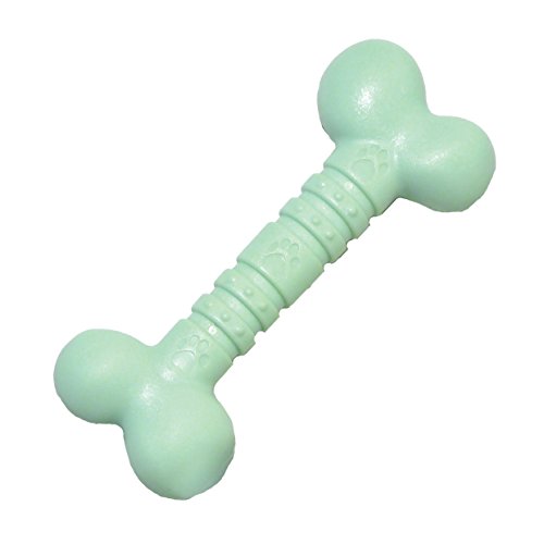 Rosewood Choo Hundespielzeug mint Bone von Rosewood