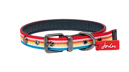 Rosewood Joules Hundehalsband, Regenbogenstreifen, Größe L von Rosewood