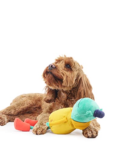 Rosewood Joules Hundespielzeug Frosch von Rosewood