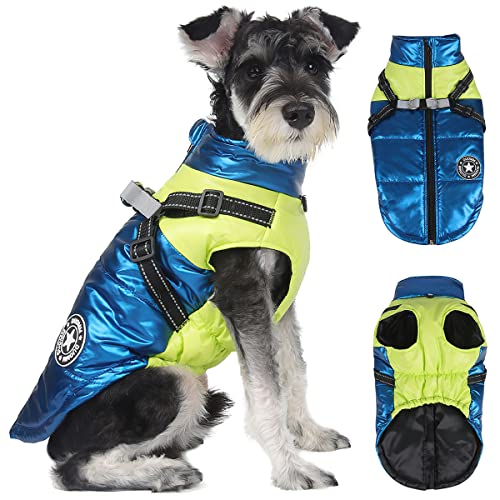 Hundemantel Winter, RosyFate Hund Warm Kleidung, Welpen Jacke, Weste Hund, Hunde Mantel Regendicht Winddicht, Hundemantel für Kleine und Mittlere Hunde(XL) von RosyFate