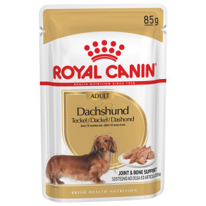 Royal Canin Adult Dachshund Nassfutter 1 Karton (12 x 85 g) von Royal Canin Breed