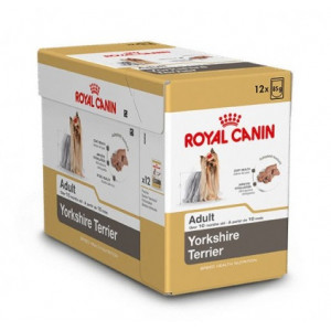 Royal Canin Adult Yorkshire Terrier Nassfutter 1 Karton (12 x 85 g) von Royal Canin Breed