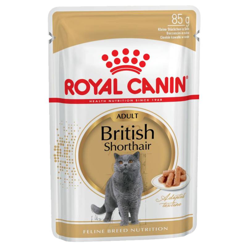 Royal Canin British Shorthair Adult in Soße - 12 x 85 g von Royal Canin Breed