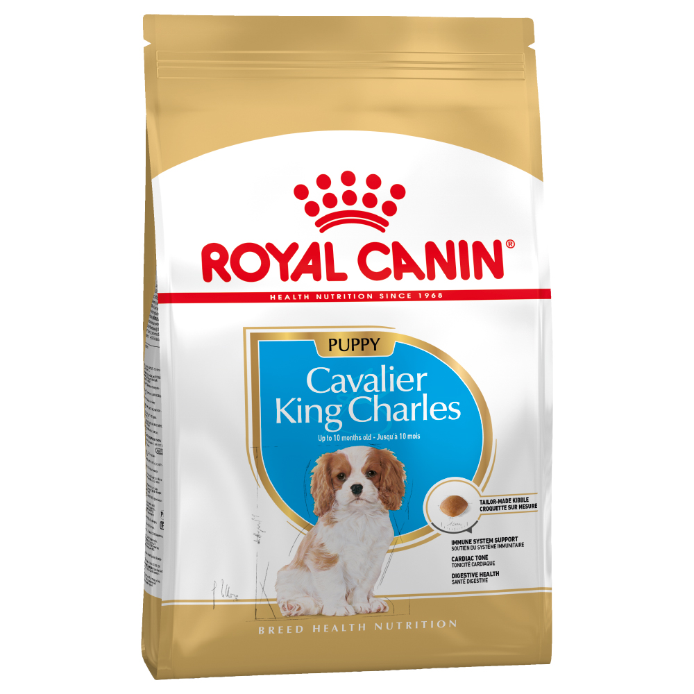 Royal Canin Cavalier King Charles Puppy - 1,5 kg Royal Canin Cavalier King Charles Puppy - 1,5 kg von Royal Canin Breed