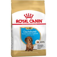 Royal Canin Dachshund Puppy - 1,5 kg von Royal Canin Breed