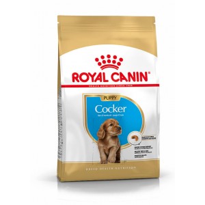 Royal Canin Puppy Cocker Spaniel Hundefutter 2 x 3 kg von Royal Canin Breed