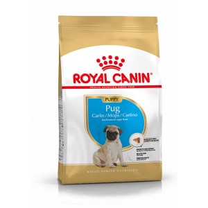 Royal Canin Puppy Mops Hundefutter 1,5 kg von Royal Canin Breed