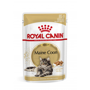 Royal Canin Maine Coon Adult Nassfutter 1 Karton (12 x 85 g) von Royal Canin Breed