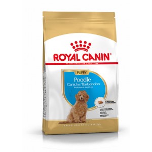 Royal Canin Puppy Pudel Hundefutter 2 x 3 kg von Royal Canin Breed