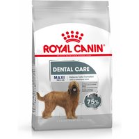 Royal Canin CCN Dental Care Maxi - 2 x 9 kg von Royal Canin Care Nutrition