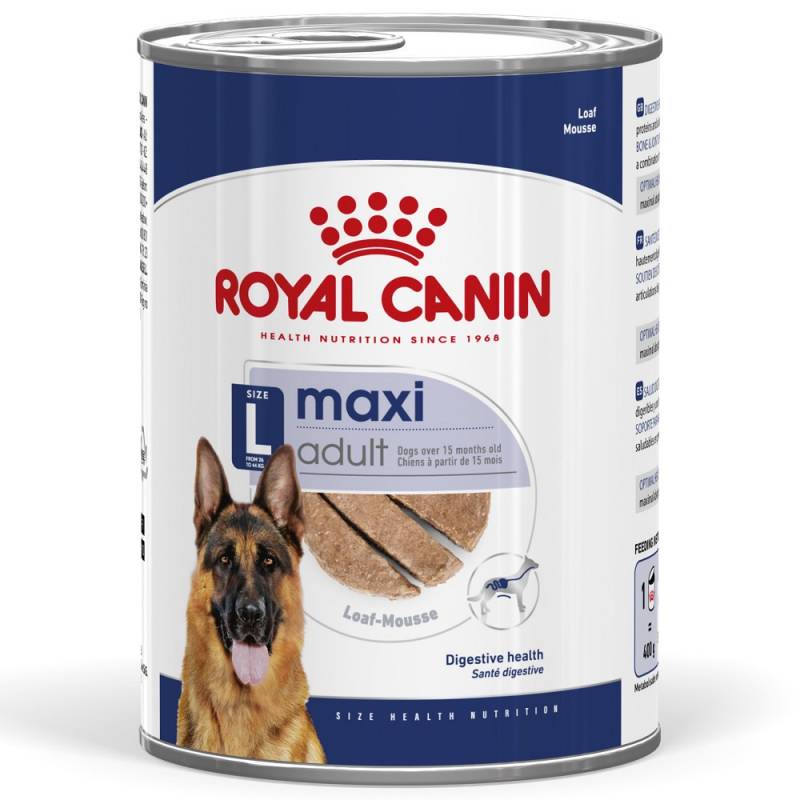 Royal Canin Maxi Adult Mousse - Sparpaket: 48 x 410 g von Royal Canin Size